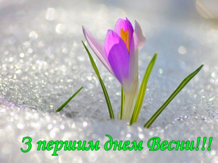 С первым днем весны: лучшие поздравления, картинки и видео-открытки